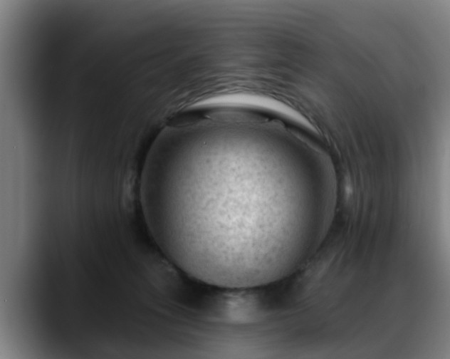 X0000088830275200706141526