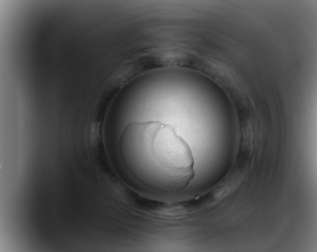 X0000088830278200706141526