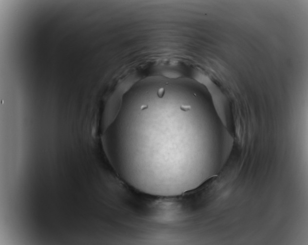 X0000088830280200706141526