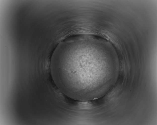 X0000088830281200706141526