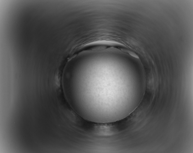 X0000088830282200706141526