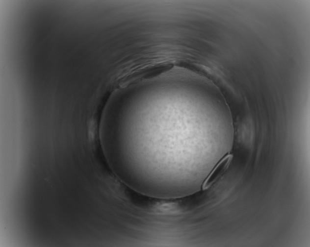 X0000088830283200706141526