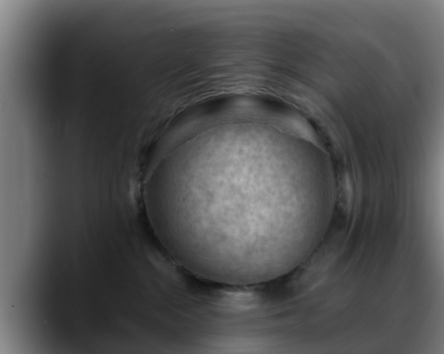 X0000088830284200706141526