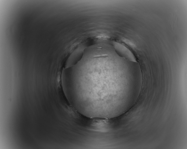 X0000088830288200706141526