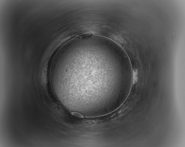 X0000088830291200706141525