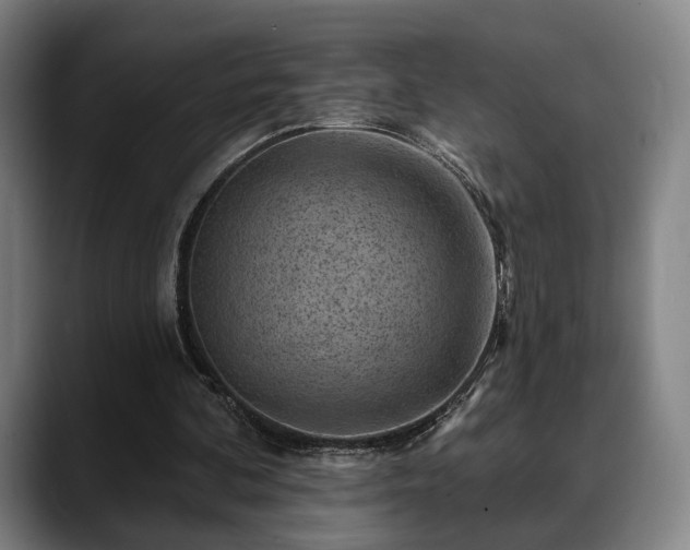 X0000088830292200706141525