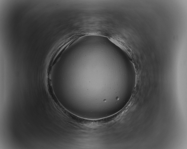 X0000088830293200706141525