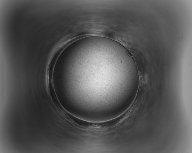 X0000088830294200706141525