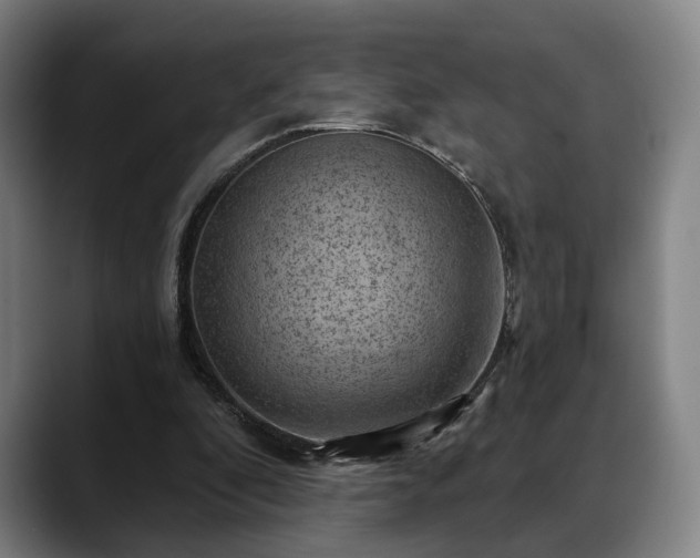 X0000088830296200706141525