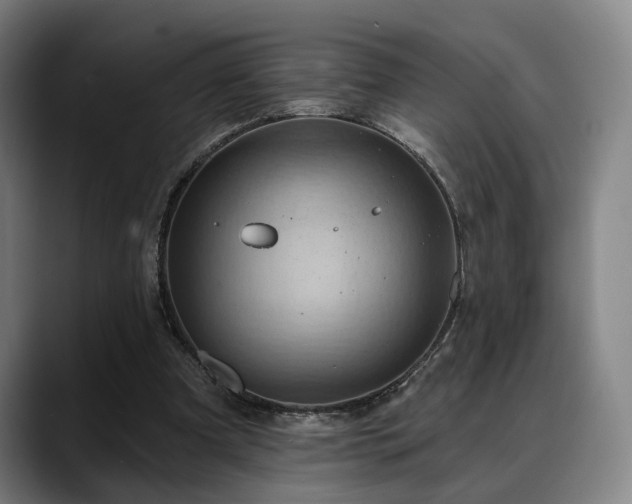 X0000088830297200706141525