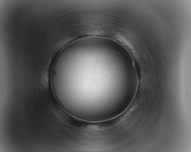 X0000088830298200706141525