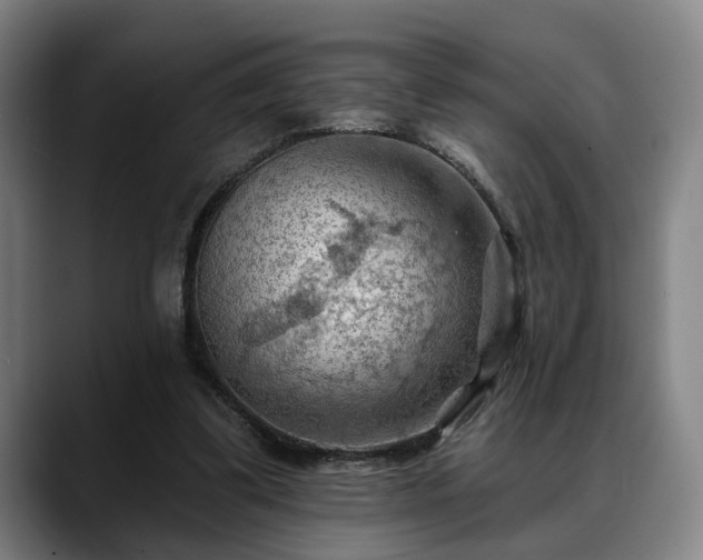 X0000088830299200706141525