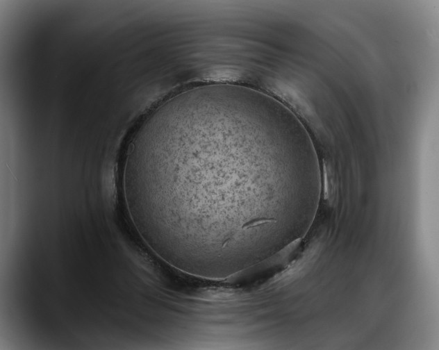 X0000088830300200706141525