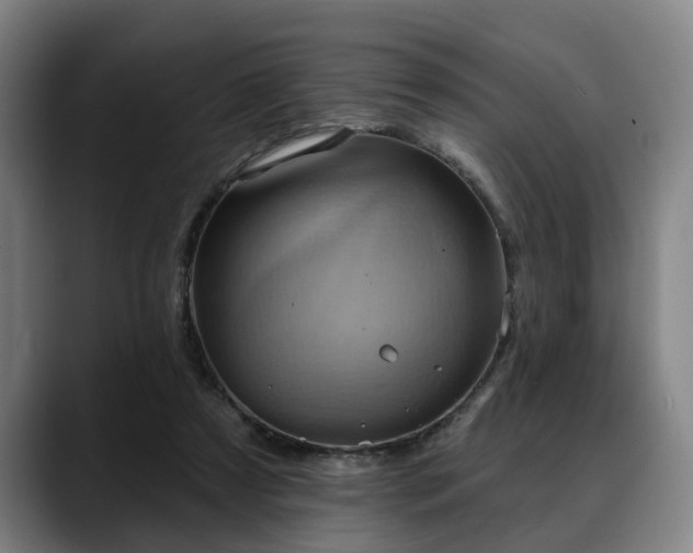 X0000088830305200706141525