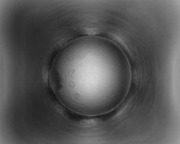 X0000088830307200706141525