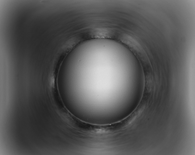 X0000088830310200706141525