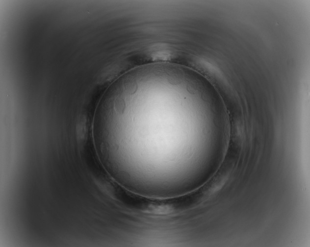 X0000088830311200706141525