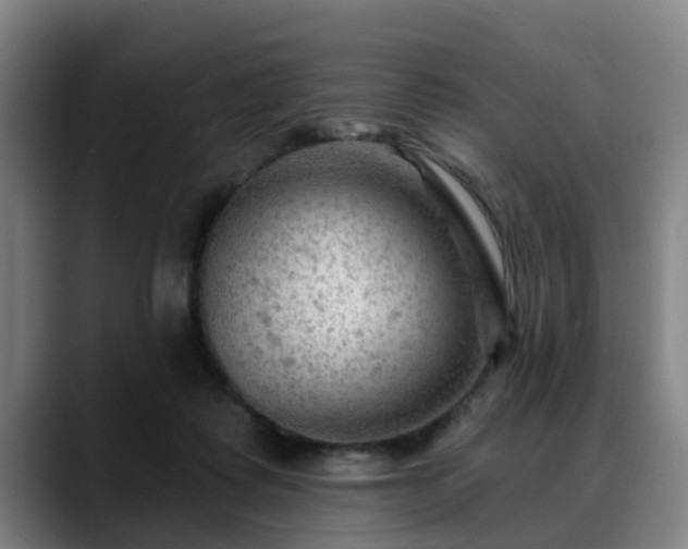 X0000088830315200706141525