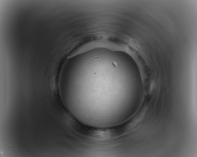 X0000088830317200706141525