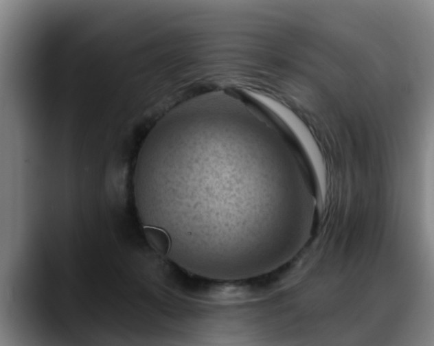 X0000088830319200706141525