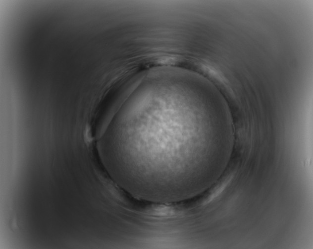 X0000088830325200706141525