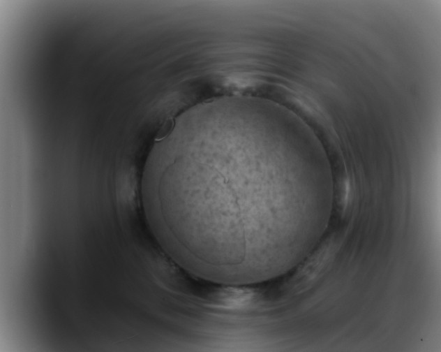 X0000088830328200706141525