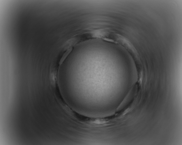 X0000088830329200706141525