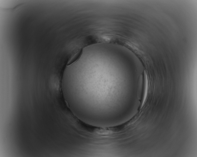 X0000088830331200706141525
