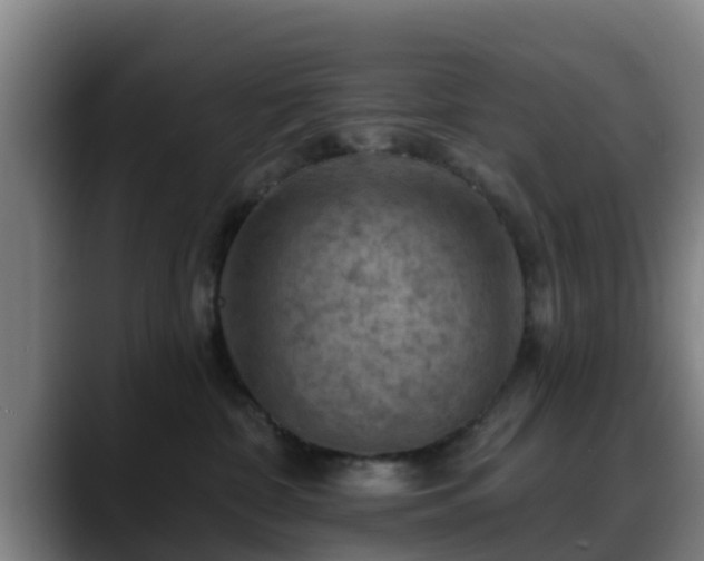 X0000088830332200706141525