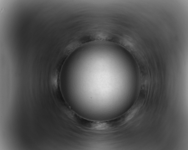 X0000088830334200706141525