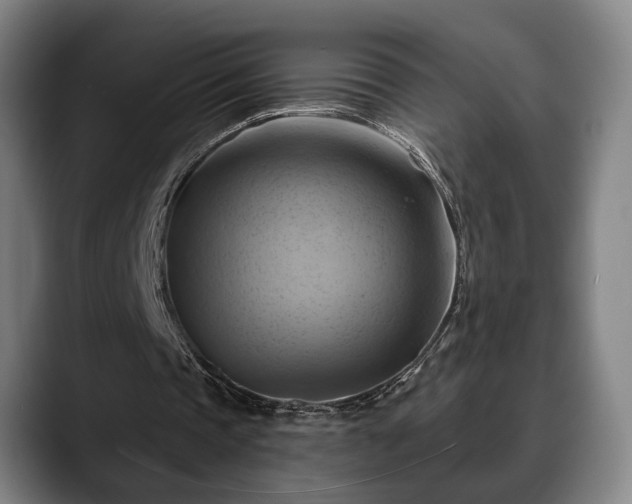 X0000088830337200706141524