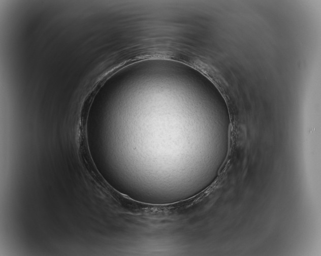X0000088830338200706141524