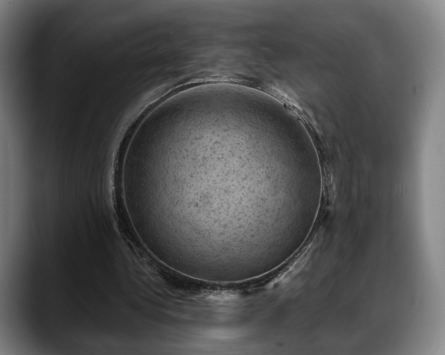 X0000088830340200706141524