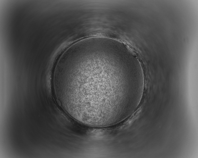 X0000088830341200706141524