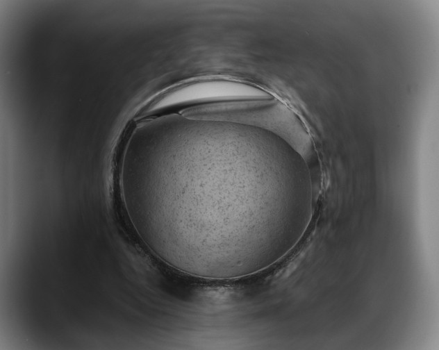 X0000088830344200706141524