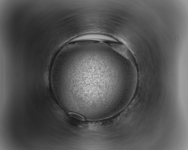 X0000088830345200706141524