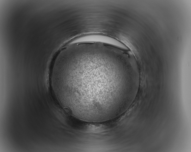 X0000088830346200706141524