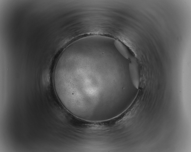 X0000088830347200706141524