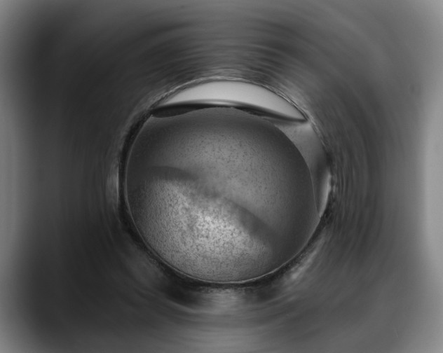X0000088830349200706141524