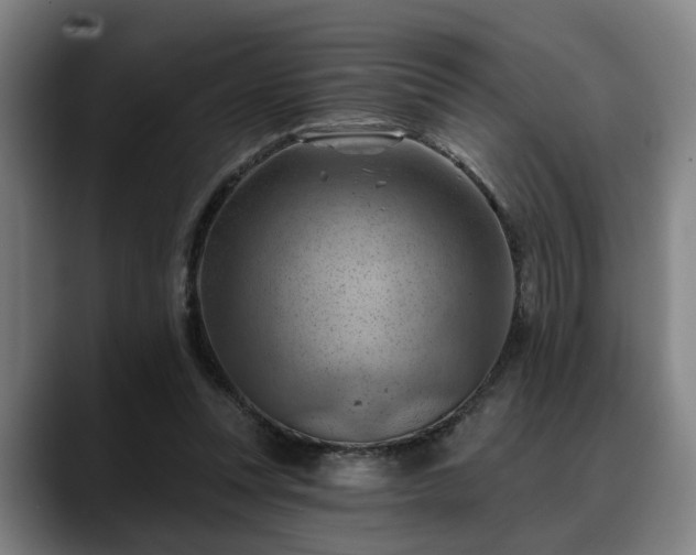 X0000088830351200706141525