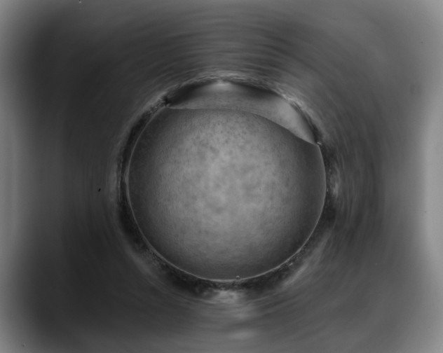 X0000088830352200706141525