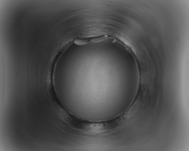 X0000088830353200706141525