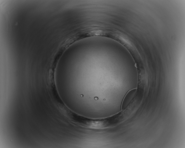 X0000088830361200706141525