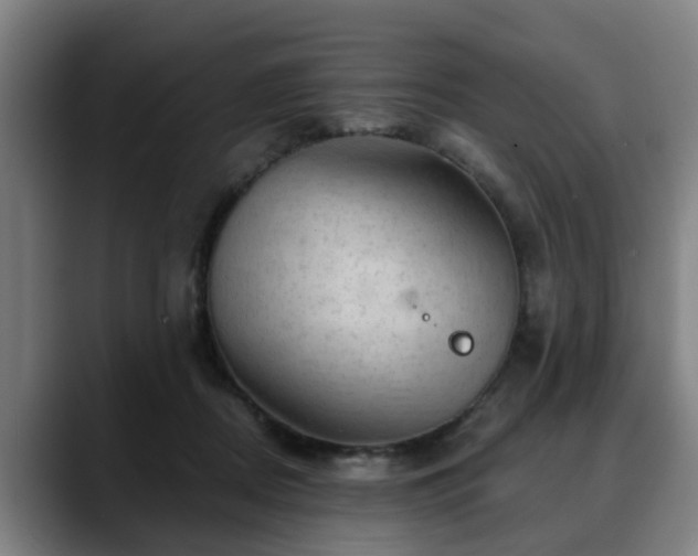 X0000088830362200706141525