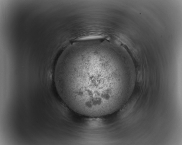 X0000088830363200706141525