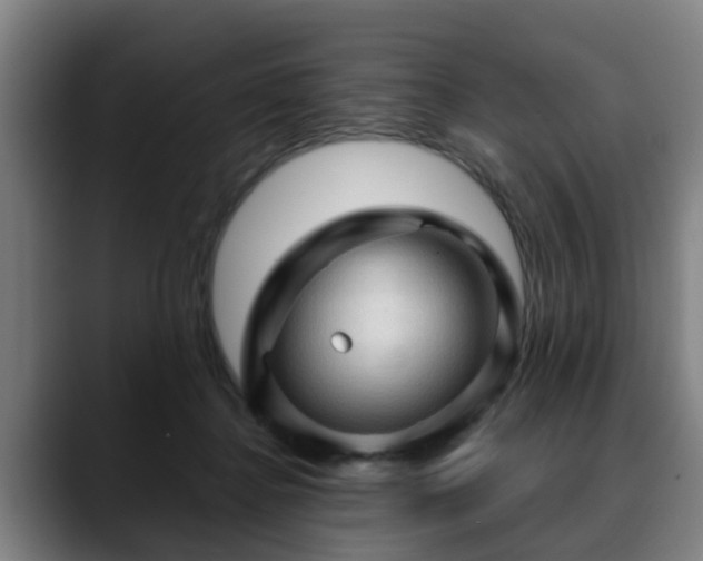 X0000088830364200706141525