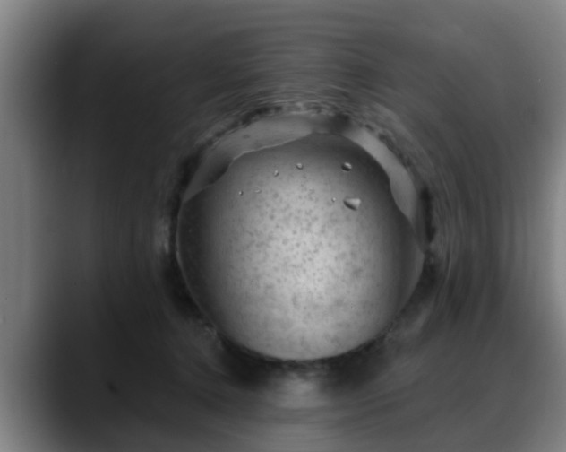 X0000088830368200706141525