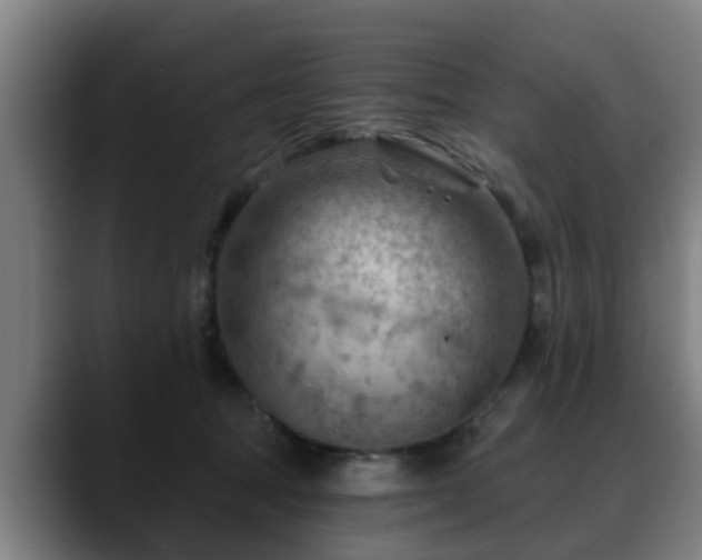 X0000088830369200706141525