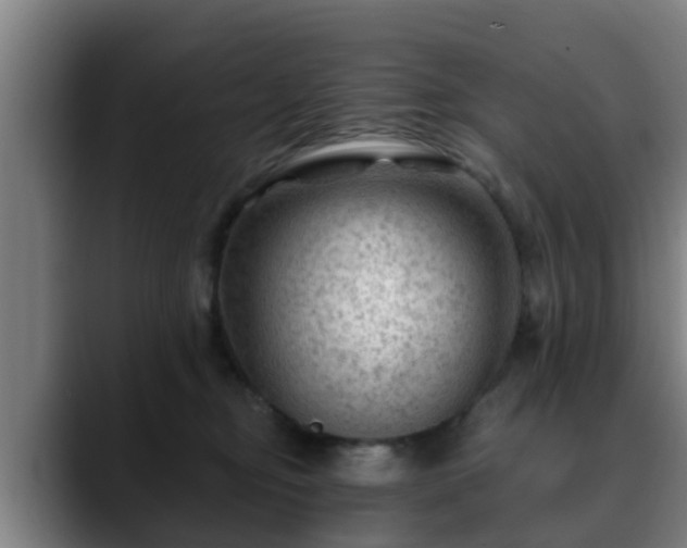 X0000088830374200706141525