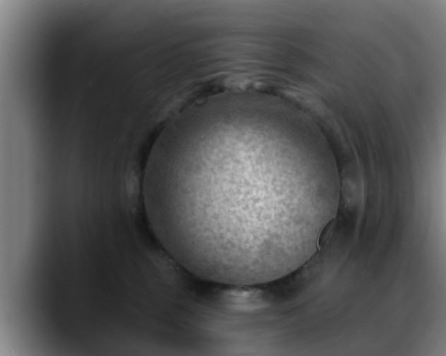 X0000088830375200706141525